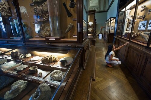 Salzburg Audio guide: Explore Museum of Natural History