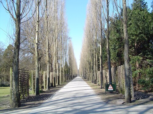 Copenhagen Audio guide: Explore Assistens Cemetery