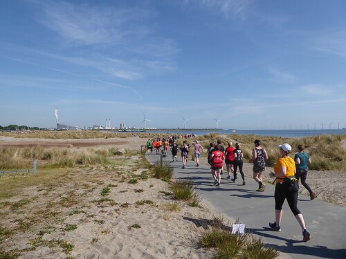 Copenhagen Audio guide: Explore Amager Strandpark
