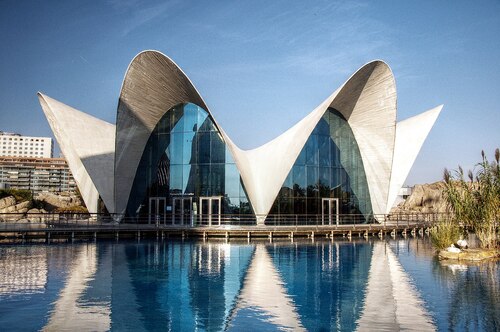 Valencia Audio guide: Explore Oceanogràfic