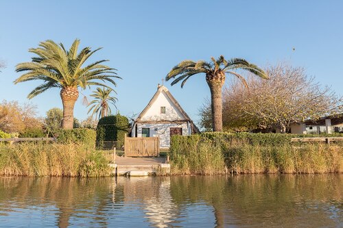 Valencia Audio guide: Explore Albufera Natural Park