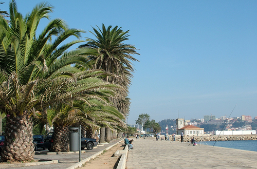 Porto Audio guide: Explore Foz do Douro