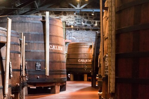 Porto Audio guide: Explore Caves of Vila Nova de Gaia