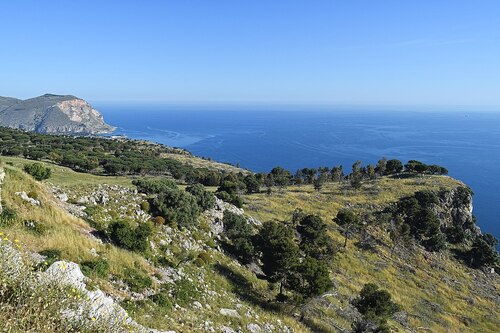 Audioguía de Palermo: Explora el Monte Pellegrino