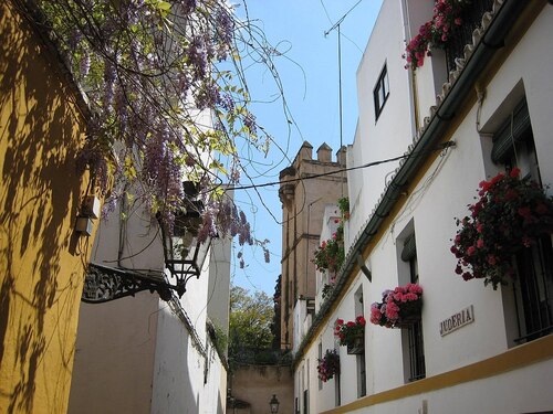 Seville Audio guide: Explore Barrio Santa Cruz