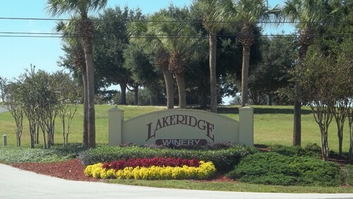 Audioguida di Orlando: esplora l'azienda vinicola e i vigneti di Lakeridge